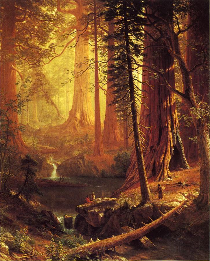 Albert Bierstadt Paintings BaGiant Redwood Trees of California